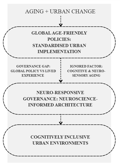 Conceptual flow of neuro-responsive age-friendly urban governance